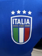 Italy Natio Home Del Piero 10 Shirt 2024-2025 Player version Size£ºS-2XL Non-Customize - Image 6