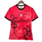 24-25 Inter Milan Special Edition Kit Jersey