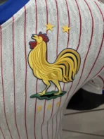 2024 France Nation  Away Jersey Player Version Euro - Image 4