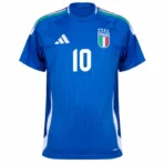 Italy Natio Home Del Piero 10 Shirt 2024-2025 Player version Size£ºS-2XL Non-Customize - Image 3